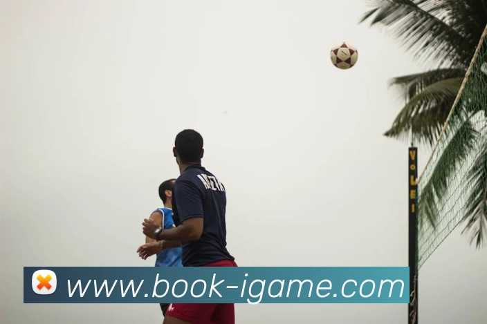 爱游戏集团平台生态图